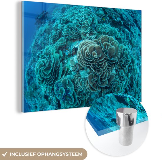 MuchoWow® Glasschilderij 180x120 cm - Schilderij acrylglas - Sla-vormig koraal in het Maritiempark Wakatobi in Indonesië - Foto op glas - Schilderijen
