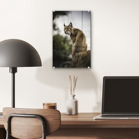 ® Glasschilderij 20x30 cm - Schilderij acrylglas - Lynx zit op een steen - Foto op glas - Muurdecoratie woonkamer - Wanddecoratie slaapkamer - Schilderijen