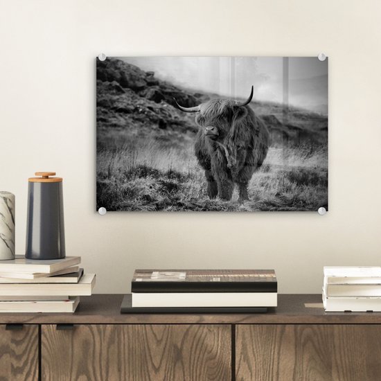MuchoWow® Peinture sur verre 30x20 cm - Peinture acrylique sur verre - Highlander écossais sur une colline - noir et blanc - Photo sur verre - Peintures