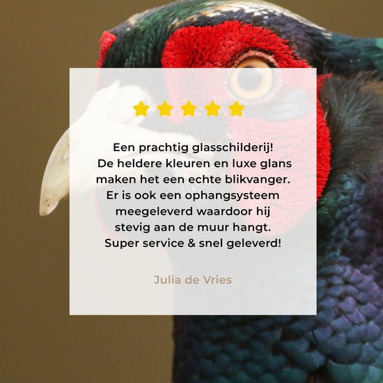 Un gros plan d'un faisan coloré en plexiglas 60x40 cm - Tirage photo sur Glas (décoration murale en plexiglas)