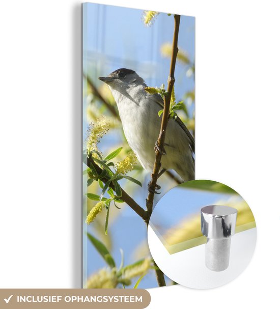 MuchoWow® Glasschilderij 40x80 cm - Schilderij acrylglas - Vogel in een boom - Foto op glas - Schilderijen