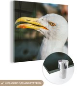 MuchoWow® Glasschilderij 90x90 cm - Schilderij acrylglas - Meeuw - Vogel - Foto op glas - Schilderijen