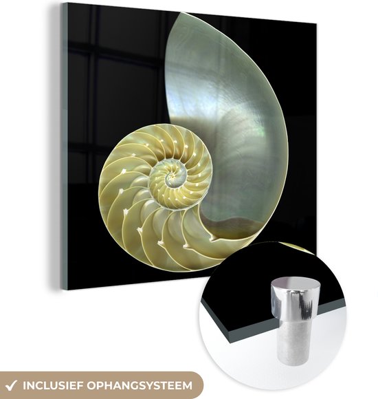 MuchoWow® Glasschilderij 50x50 cm - Schilderij acrylglas - Schelp - Zwart - Parelmoer - Foto op glas - Schilderijen