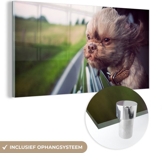 MuchoWow® Glasschilderij 80x40 cm - Schilderij acrylglas - Hond - Auto - Dier - Foto op glas - Schilderijen