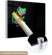 MuchoWow® Peinture sur verre 160x120 cm - Peinture sur verre acrylique - Grenouille - Animaux - Plante - Photo sur verre - Peintures