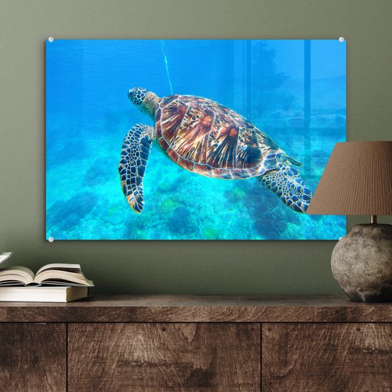MuchoWow® Peinture sur verre 60x40 cm - Peinture sur verre acrylique - Tortue - Mer - Blauw - Photo sur verre - Peintures