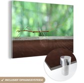MuchoWow® Glasschilderij 120x80 cm - Schilderij acrylglas - Een wandelende tak op een houten tafel - Foto op glas - Schilderijen