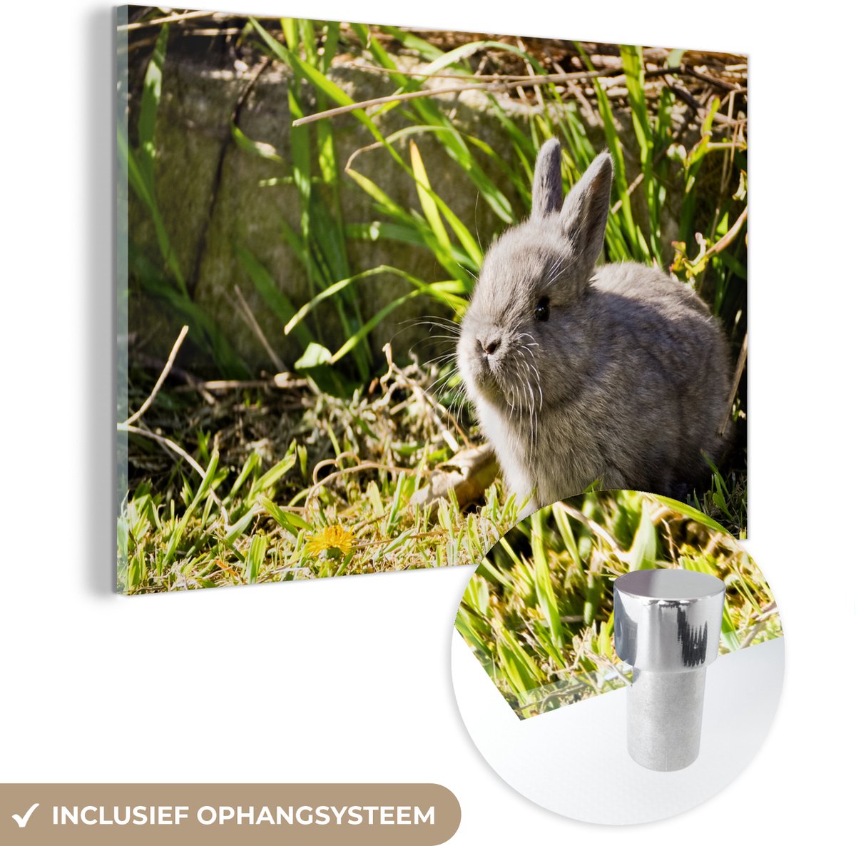 ® Glasschilderij 150x100 cm - Schilderij acrylglas - Baby konijn - Grijs - Tuin - Foto op glas - Muurdecoratie woonkamer - Wanddecoratie slaapkamer - Schilderijen