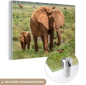MuchoWow® Peinture sur verre 30x20 cm - Peinture sur verre acrylique - Bébé éléphant avec sa mère dans l'herbe - Photo sur verre - Peintures
