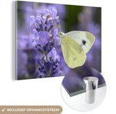 MuchoWow® Glasschilderij 30x20 cm - Schilderij acrylglas - Koolwitje vlinder drinkt nectar van lavendel - Foto op glas - Schilderijen