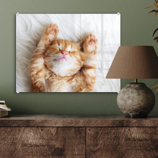 Peinture sur verre - Photo sur verre - Verre acrylique - Chat - Couverture - Chat - Chaton - Animaux - Peintures salon - 40x30 cm - Peinture sur verre - Décoration murale - Décoration murale