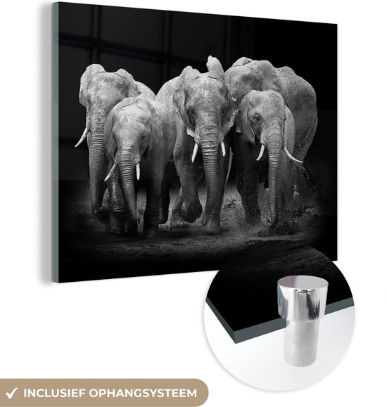 MuchoWow® Glasschilderij - Olifant - Zwart - Wit - Dieren - Acrylglas Schilderijen - Foto op Glas