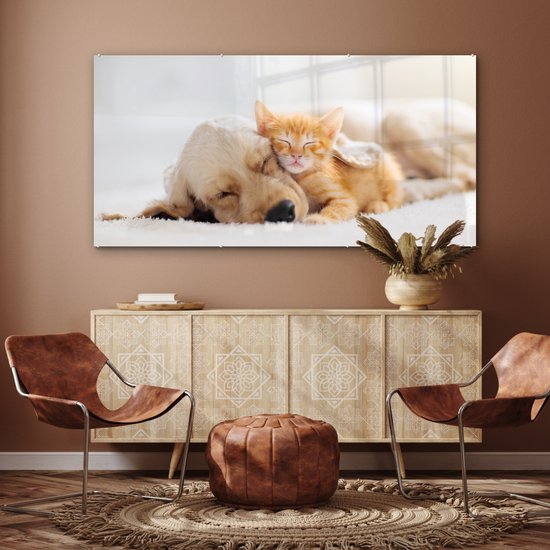 Peinture sur verre - Photo sur verre - Chat - Chien - Chat - Chaton - Couverture - Animaux - Décoration murale - 160x80 cm - Verre acrylique - Peinture animaux - Décoration murale - Peinture sur verre