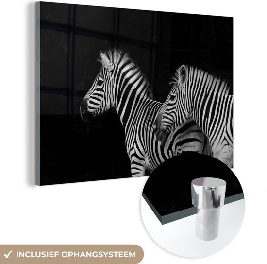 MuchoWow® Glasschilderij 150x100 cm - Schilderij acrylglas - Zebra - Wit - Wild - Dieren - Zwart - Foto op glas - Schilderijen