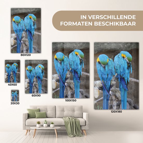 Deux aras en Glas 80x120 cm - Tirage photo sur Glas (décoration murale en plexiglas)