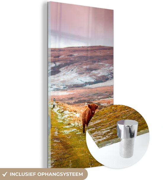 MuchoWow® Glasschilderij 60x120 cm - Schilderij acrylglas - Schotse Hooglander - Natuur - Kalf - Foto op glas - Schilderijen