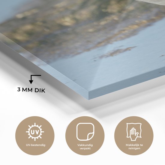 Pigeon rocheux dans l'eau Plexiglas 60x40 cm - Tirage photo sur Glas (décoration murale en plexiglas)