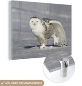 MuchoWow® Glasschilderij 40x30 cm - Schilderij acrylglas - Sneeuwuil rekt zich uit in de sneeuw - Foto op glas - Schilderijen
