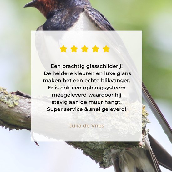 Une hirondelle rustique pose sur une branche Plexiglas 40x30 cm - petit - Tirage photo sur Glas (décoration murale plexiglas)