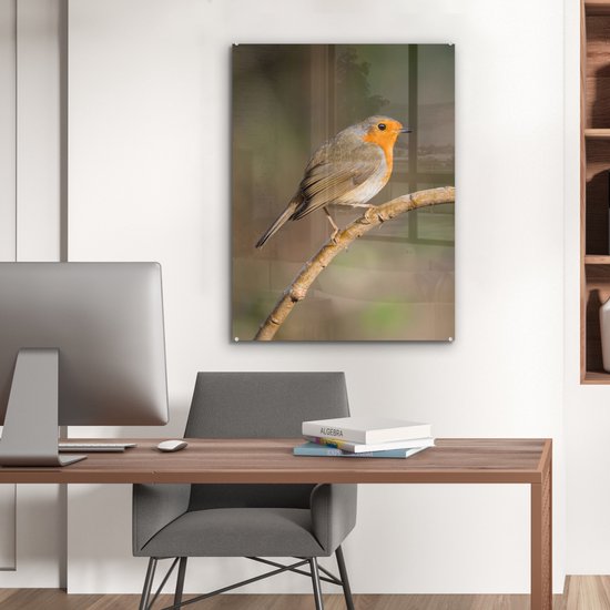 MuchoWow® Glasschilderij 60x80 cm - Schilderij acrylglas - Roodborstje - Vogel - Natuur - Foto op glas - Schilderijen