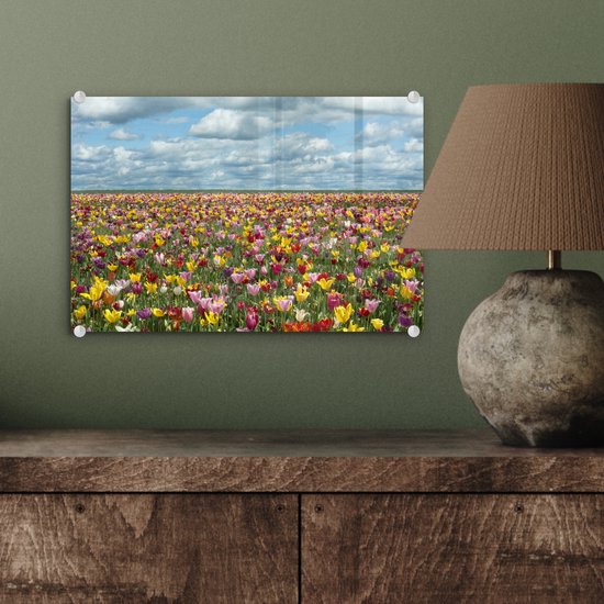 Champs de tulipes en Glas Oregon 30x20 cm - petit - Tirage photo sur Glas (décoration murale en plexiglas)