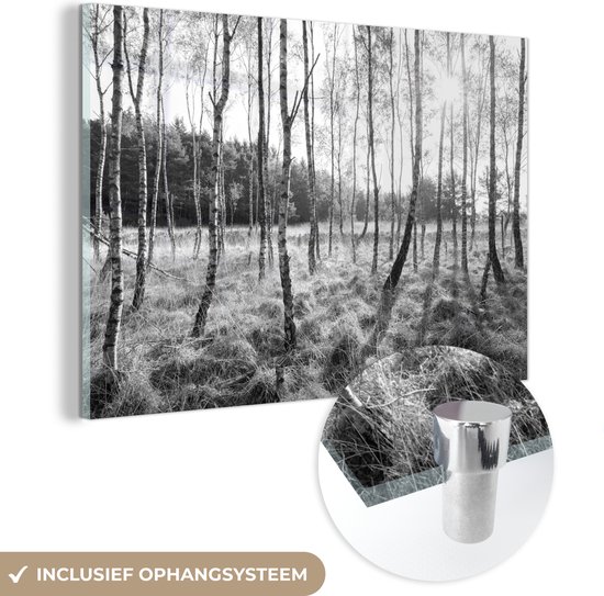 MuchoWow® Glasschilderij 150x100 cm - Schilderij glas - Berkenbomen in Europa - zwart wit - Foto op acrylglas - Schilderijen