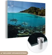 MuchoWow® Glasschilderij 160x120 cm - Schilderij acrylglas - Koraal - Haaien - Zee - Foto op glas - Schilderijen