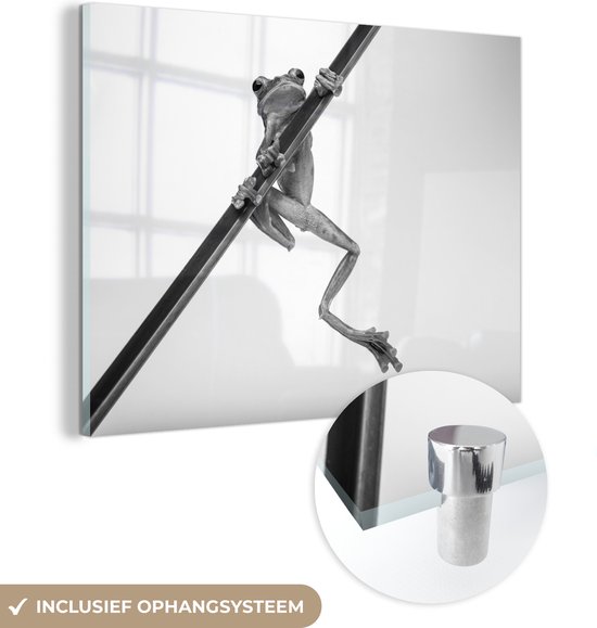 MuchoWow® Glasschilderij 80x60 cm - Schilderij acrylglas - Kikker op bamboe - zwart wit - Foto op glas - Schilderijen