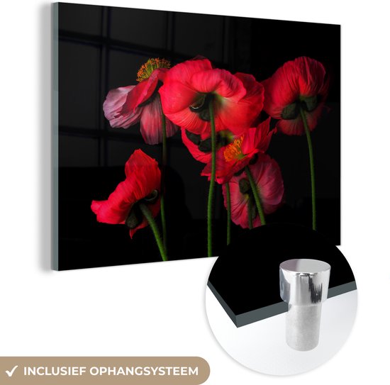 MuchoWow® Glasschilderij 30x20 cm - Schilderij acrylglas - De IJslandse papavers op een zwarte achtergrond - Foto op glas - Schilderijen