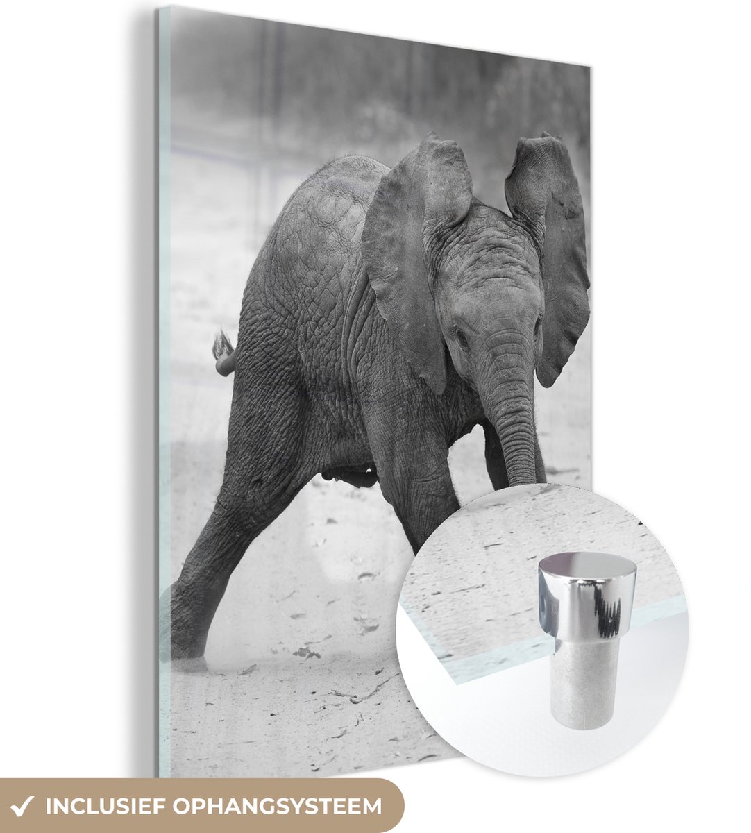 ® Glasschilderij 30x40 cm - Schilderij acrylglas - Olifant - Baby - Dieren - Pad - Zwart wit - Foto op glas - Muurdecoratie woonkamer - Wanddecoratie slaapkamer - Schilderijen
