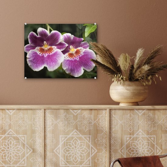® Glasschilderij 40x30 cm - Schilderij acrylglas - Wilde orchidee - Foto op glas - Muurdecoratie woonkamer - Wanddecoratie slaapkamer - Schilderijen