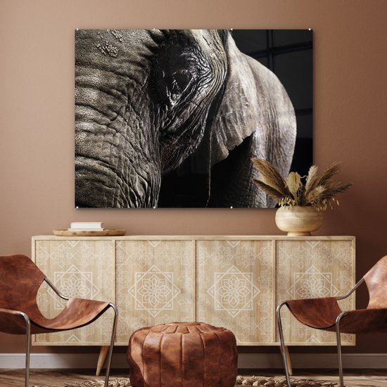 MuchoWow® Peinture sur verre 120x90 cm - Peinture sur verre acrylique - Éléphant - Animaux - Gros plan - Zwart - Photo sur verre - Peintures