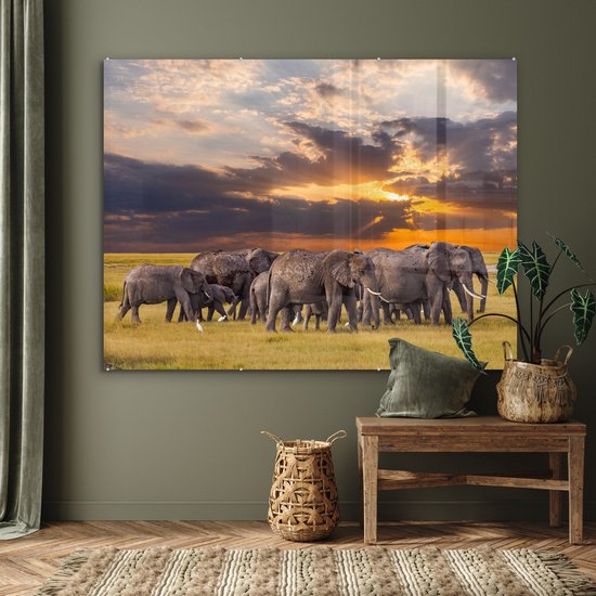 MuchoWow® Peinture sur verre 160x120 cm - Peinture sur verre acrylique - Éléphant - Animaux - Herbe - Coucher de soleil - Nature - Photo sur verre - Peintures