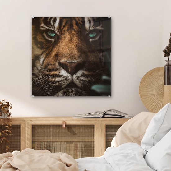 MuchoWow® Peinture sur verre - Animaux - Tigre - Sauvage - 50x50 cm - Peintures sur verre acrylique - Photo sur Glas