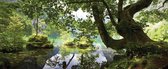 Fotobehang Tree Lake Nature | PANORAMIC - 250cm x 104cm | 130g/m2 Vlies