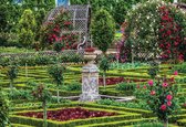 Fotobehang Rose Garden | XXL - 312cm x 219cm | 130g/m2 Vlies