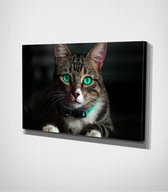 Cat Canvas | 40x60 cm