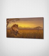 Lion Sitting On Field Canvas