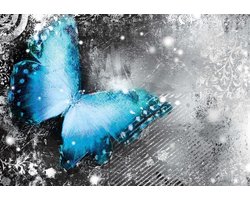 Fotobehang Butterflies | XXXL - 416cm x 254cm | 130g/m2 Vlies