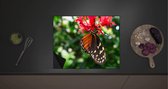 Inductie Beschermer - Bruin met Zwarte Vleugels van Vlinder op Rode Bloeiende Bloem - 60x52 cm - 2 mm Dik - Inductieplaat Beschermer met zwarte kern