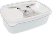 Broodtrommel Wit - Lunchbox - Brooddoos - Lam - Wit - Dieren - Natuur - 18x12x6 cm - Volwassenen