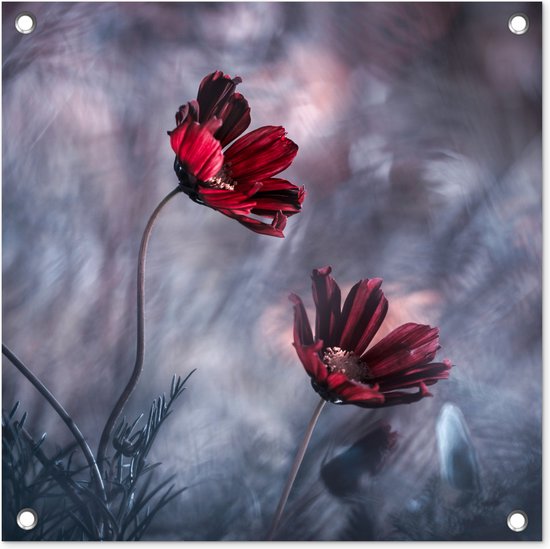 Posters de jardin Fleurs - Rouge - Plantes - Nature - 50x50 cm