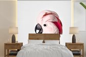 Kaketoe - Roze - Dieren - Natuur - Behangpapier