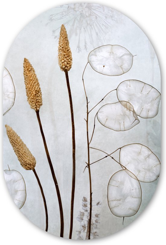 Nature morte - Fleurs séchées - Nature Assiette en plastique (5mm d'épaisseur) - Forme miroir ovale sur plastique