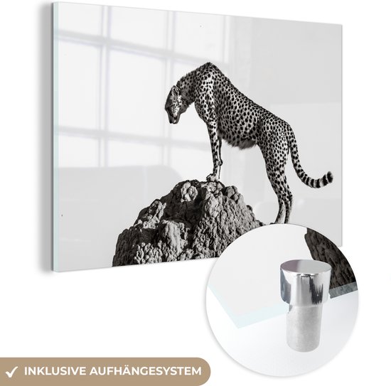 Glasschilderij panter - Wilde dieren - Natuur - Zwart wit - Schilderij glas - Slaapkamer decoratie - 60x40 cm - Wanddecoratie glas - Schilderij dieren - Kamerdecoratie