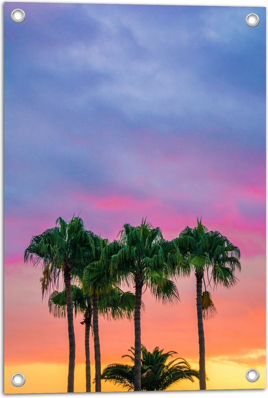 WallClassics - Tuinposter – Palmbomen met Kleurrijke Lucht - 40x60 cm Foto op Tuinposter (wanddecoratie voor buiten en binnen)