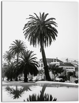 WallClassics - Dibond - Palmbomen in Amerikaanse Buurt (Zwart- wit) - 60x80 cm Foto op Aluminium (Met Ophangsysteem)