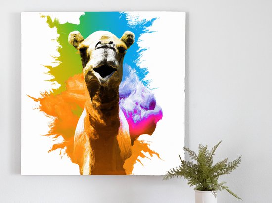 Rainbow Splatter Camel kunst - 80x80 centimeter op Canvas | Foto op Canvas - wanddecoratie
