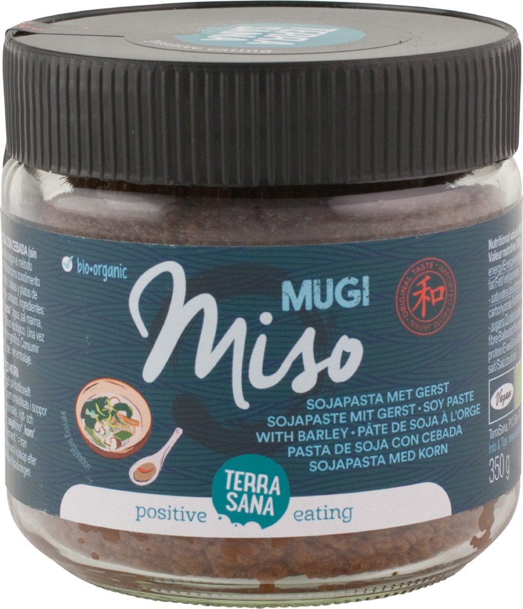 Terrasana Mugi Miso Ongep Glas