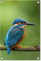 Tuindecoratie IJsvogel - Tak - Mos - Vogel - Groen - 40x60 cm - Tuinposter - Tuindoek - Buitenposter
